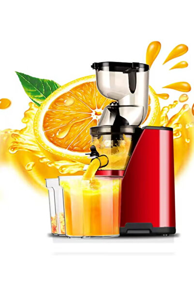 Denx Electric Juicer Fruits Cold Press Squeezer Vegetable Processor Slow Juicer Machine, DX3203