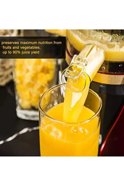 Denx Electric Juicer Fruits Cold Press Squeezer Vegetable Processor Slow Juicer Machine, DX3203