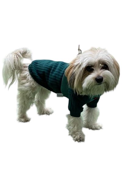 GedyCo Emerald Basic Small Breed Dog Sweatshirt