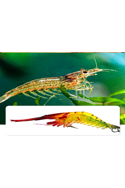 SAZAN RİG Karides Shrimp Sahte Silikon Balık Yemi Fosforlu Kancalı 7.5 Cm