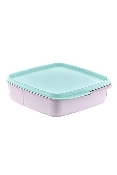 Rasanet Storage Container with Compartments Royaleks-Ak540