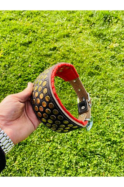 Sürmeli Tasma Puppy Kangal Dog Collar 60 cm Genuine Leather Classic Series