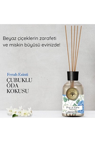 Cata 4 Adet Cata CT-5249 Martı LED Siyah ( Mabel Marseille Oda Kokusu 100 ml Hediyeli )