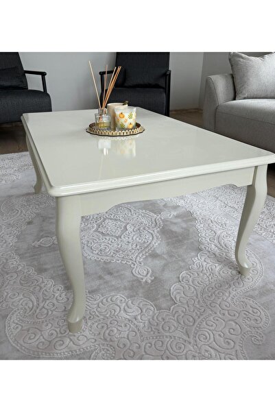 BAŞARAN CONCEPT Başaran Concept Üst Kalite 60x100 Krem 1. Sınıf Lake Boyalı K...