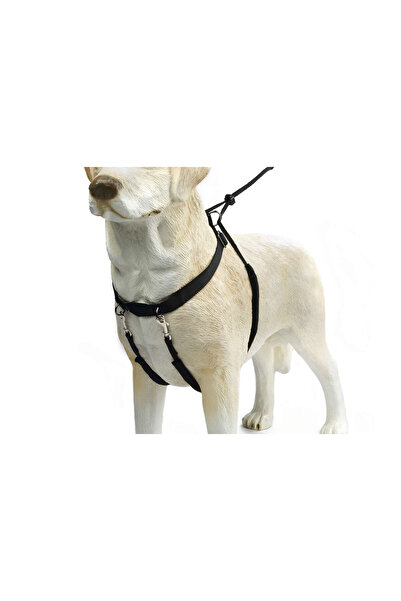 Beeztees Köpek Yürüyüş Eğitim ve Düzeltme Tasması, XL GELAL