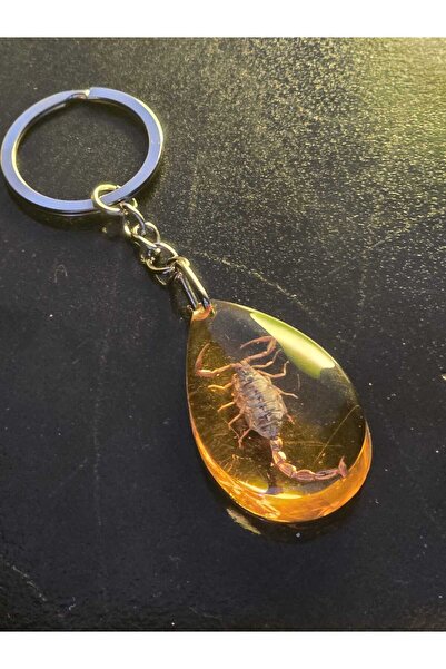 AMBER CRAFTS Orijinal Amber Craft Gerçek Akrep Anahtarlık