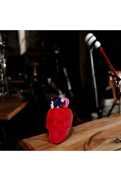 Home Guitar Pick Stand - Guitar Pick Holder - Stylish Design with Skull Head Shape - Guitar Accessory