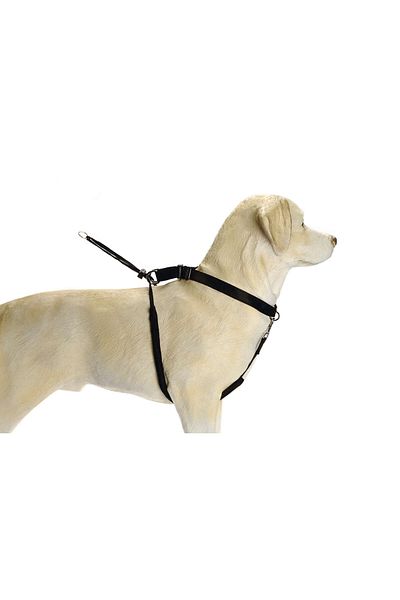 Beeztees Dog Walking Training and Correction Collar, XL Dpmah