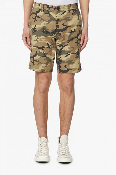 Tommy Hilfiger Tommy Hilfiger Harlem Cotton Shorts Multicolor 32 US