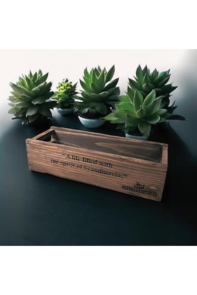 STOREMAX Mu-Artshop Box Organizer Organizer Tnca 871301