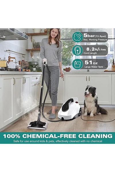 FlashHawk Steam Cleaner, 5Bar Steam Pressure, 5-8Min Heating Time, 2000W, 2L, for Floor/Car/Sofa/Kitchen