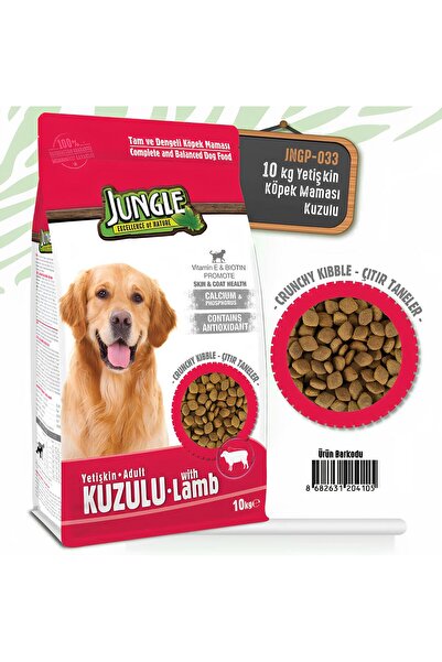 Jungle Kuzu Etli Yetişkin 10Kg Köpek Maması