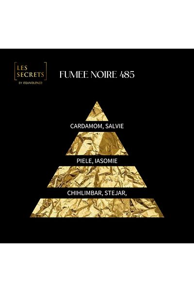 Equivalenza Apa de Parfum Equivalenza Les Secrets Fumee Noire 485