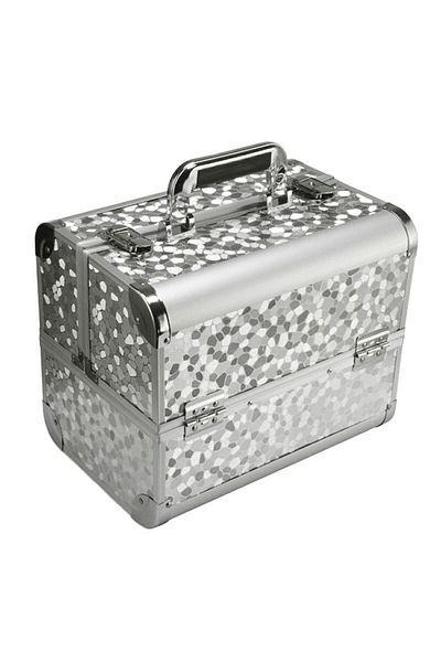 TECOS Geanta profesionala pentru cosmetice sau depozitare, Tecos®, argintiu, dimensiuni 30,5x20 5x25cm