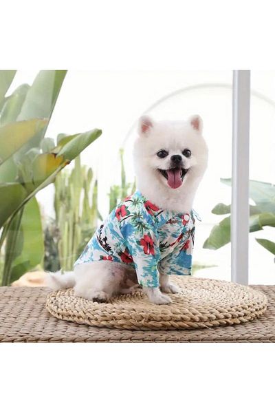 dukart Pet Small Breed Dog Shirt, Cat Shirt, Dog Summer T-Shirt