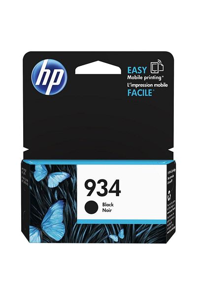 HP HP C2P19AE BLACK INKJET CARTRIDGE