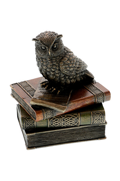 GiftExpress Cutie bufnita pe carti