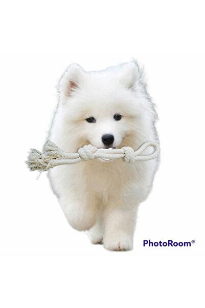 724 AVM Dörtlü Oyun Seti Köpek Diş Ipleri Isırma Kaşıma Çek Bırak Oyuncakları Halat Büyük Boy