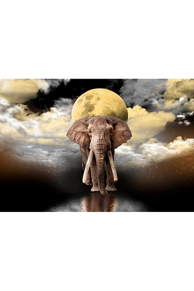 Wooden City Wooden Puzzle ELEPHANT DREAMS XL, Wooden City, 600 pieces