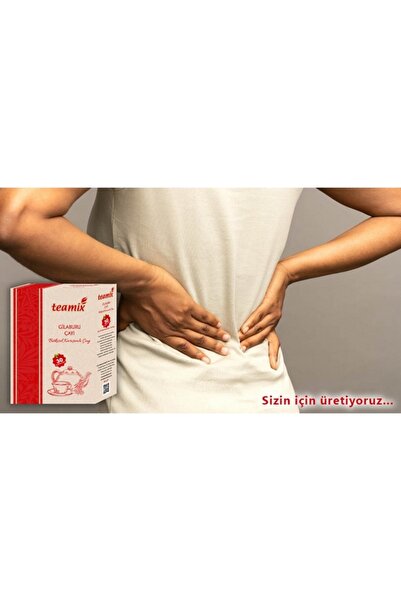 teamix Gilaburu Çayı Bitkisel Karışımlı 60 G 30 Süzen Poşet