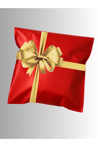shopExxtra 10Pcs 20X35 Red Adhesive Metallized Gift Bag Metallic Red Gift Packing Package
