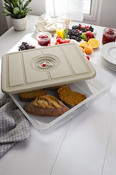 Home 3-Pack Plastic Storage Container with Date and Time Display