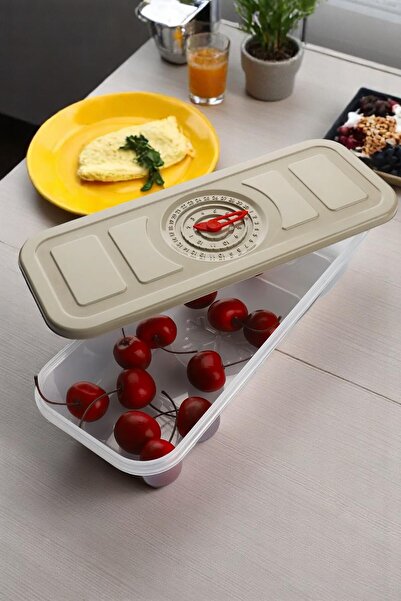 Home 3-Pack Plastic Storage Container with Date and Time Display