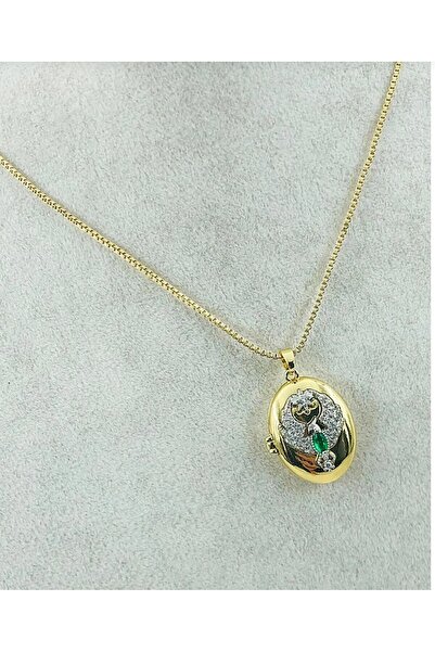 AKSESUARIM Zircon Stone, Covered, Photo Can Be Put, Colorful Phoenix, Black Steel Necklace