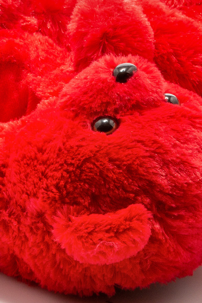 Twigy Red Teddy Women's Shoes - Animal, Size 36/41