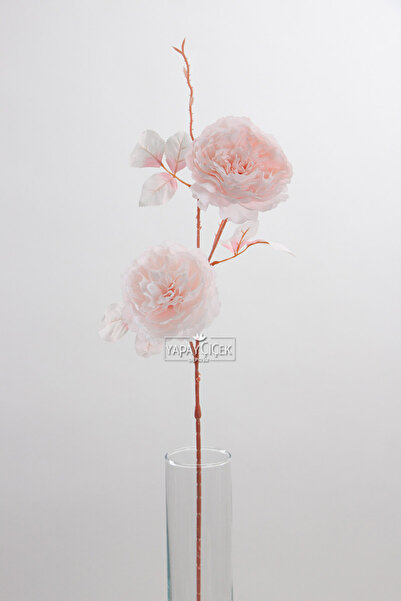 Yapay Çiçek Deposu Yapay 2 Güllü Şakayık Çiçeği Dalı 77 cm Şeker Pudra