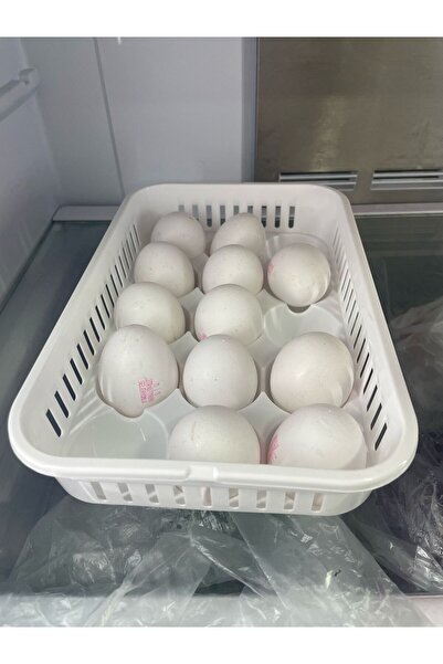 Tercih Home 2 Pcs Egg Storage Container 2 Pcs of 15, Sterile Egg Cup, Egg Organizer with Lid