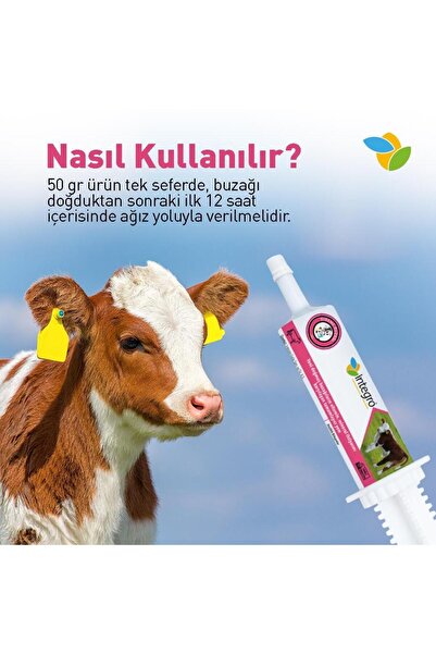 İntegro İNTEGRO DİRENÇ BUZAĞI ŞIRINGA JEL (50 GR X 5 ADET )