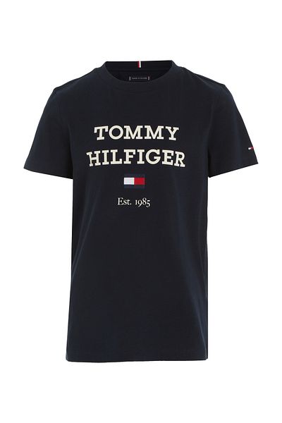 Tommy Hilfiger Boys Blue Short Sleeve T-Shirt
