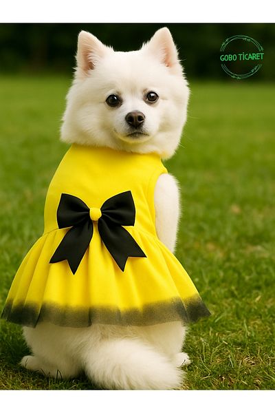 Gobo Yellow Tulle Cat Dog Outfit Dress with Black Bow Tie Small/S/Size 1
