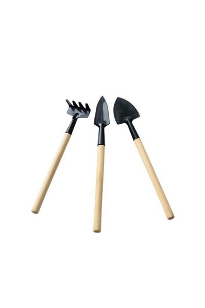 NEZADE STORE 3 Piece Mini Plant Hobby Set - Garden Pot Succulent Care Hoe-Rake-Shovel