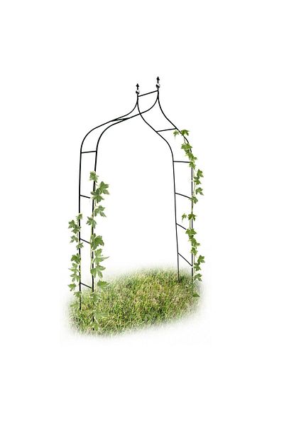 Relaxdays Arc metalic de grădină pentru flori cățărătoare, verde închis, 240 x 170 x 38 cm, Relaxdays