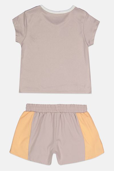 Reebok Kids Boy 2 Pieces Brand Logo T-Shirt and Shorts Set, Mauve