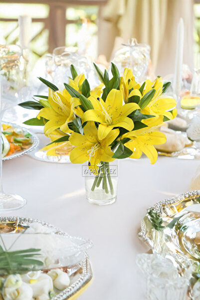 Yapay Çiçek Deposu Yapay Çiçek Lüx 2li Dal Islak Kaplan Çiçeği 40 cm Sarı