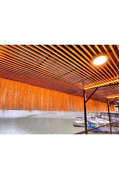 tunalar Hasır Püskül Otu Saçaklı Ot 1,50 Metre x 75 cm