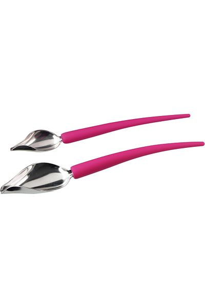 STOREMAX Sellbuystore Fackelmann 21590 Decoration Spoon, 2 Pcs 1053513