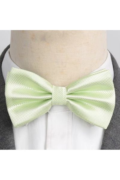 delis Men's bow tie, PP055, Light green