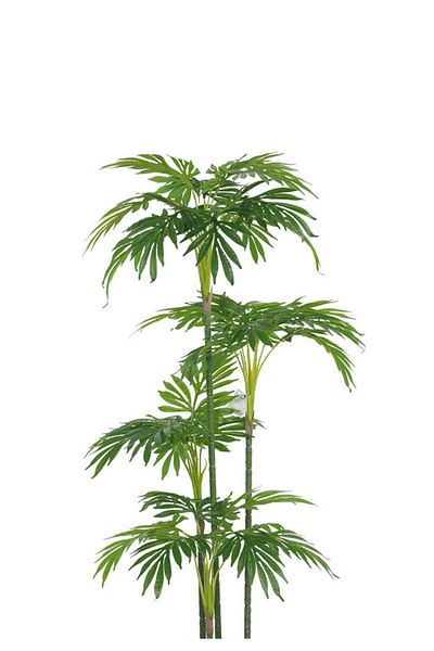 Generic Artificial palm tree (4 branches) with a cylindrical plastic stand