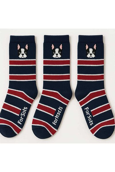 BS Parıltı Navy Blue Red Striped Unisex Cute Cotton Socks Set (3 Pieces)