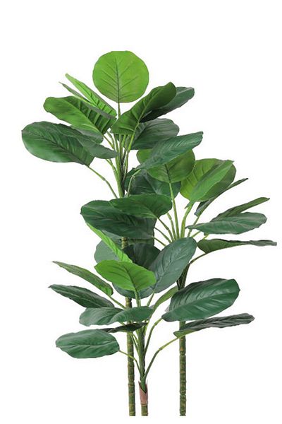 Generic Artificial Vius Umbellata Tree in a Plastic Cylinder Pot