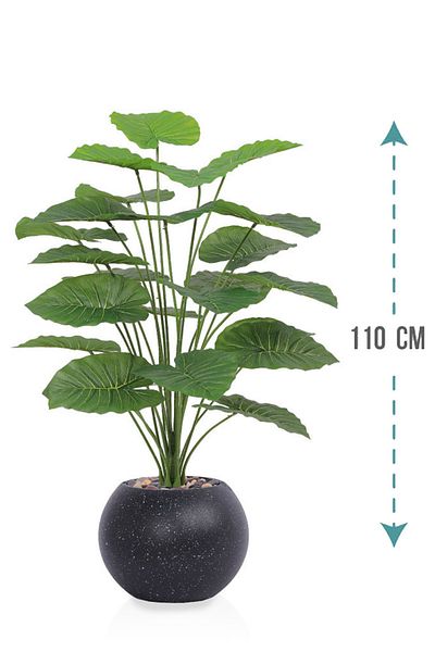 Generic Artificial Alocasia Heart Leaf Seedling in Round Plastic Pot