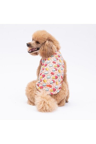 Pawstar Love Macarons Cat Dog T-Shirt - Cat Dog Apparel