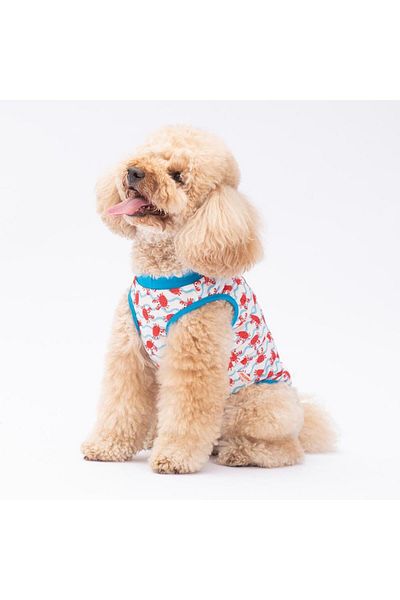 Pawstar Fun Crabs Cat Dog T-Shirt - Cat Dog Apparel