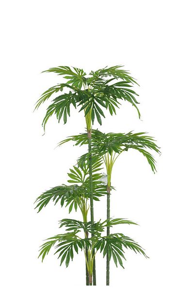 Generic Artificial palm tree (4 branches) with a cylindrical plastic stand