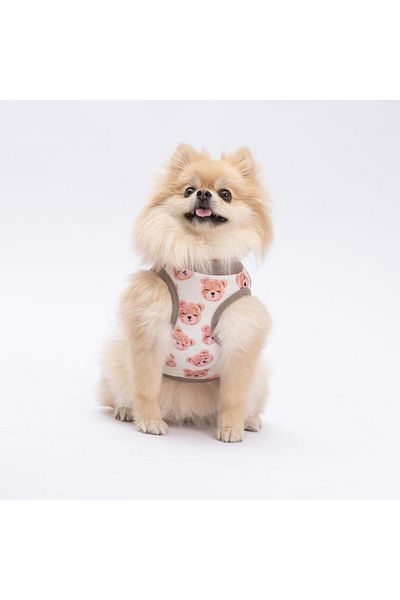 Pawstar Cute Bears Cat Dog T-Shirt - Cat Dog Apparel