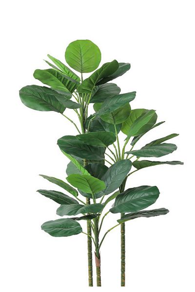 Generic Artificial Vius Umbellata Tree in a Plastic Cylinder Pot
